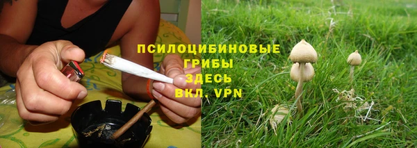 сатива Инта